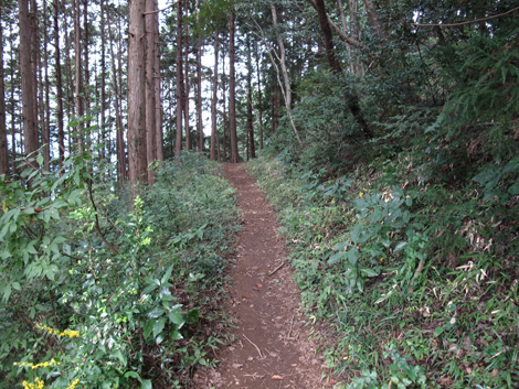 20161014hike (83)